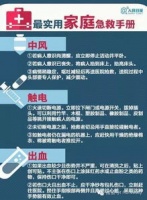 宠物急救：识别与处理指南