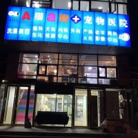 「小佩柳湖路店宠物美容师招聘信息」