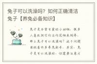 兔子可以洗澡吗？如何正确清洁兔子【养兔必备知识】