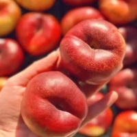 上海特产国明三林塘肉皮：传统美味，一口惊艳你的味蕾！