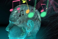 音乐疗法并非空穴来风？中国科学家揭示声音减轻疼痛的原理