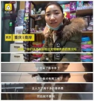 宠物猫怎么寄卖