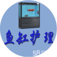 哈尔滨道外宠物寄养电话