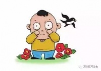 宠物过敏怎么办？有没有好的应对方法？