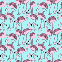 探索蛇的世界，108种蛇类品种的图片与介绍