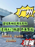 广州买狗买猫的地方在哪里?这儿有实体店可选，放心大胆挑吧