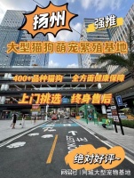 扬州哪个猫狗舍比较有名口碑比较好?这买宠物放心能去实体店挑选