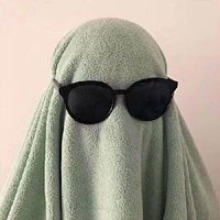 豚鼠、龙猫、仓鼠……啮齿类动物的营养需求大有不同！