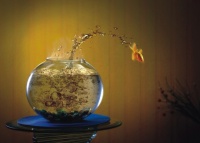 客厅鱼缸摆放风水