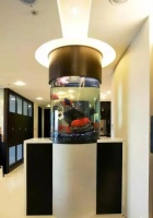 玄关摆鱼缸竟有这样的风水讲究？