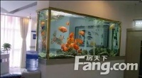 家里摆放鱼缸的风水有哪些讲究？