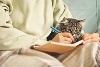 全球智能宠物市场10年CAGR达19.5%：北美占40%份额，黑五线上销售额增32%至28亿美元