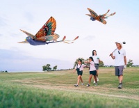 汉王智能家居DIY仿生鸟「小红雀」限量上新！