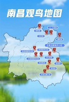 “南昌观鸟图鉴”来了！绝佳打卡地都在这→