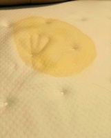 床垫渗入狗尿怎么处理