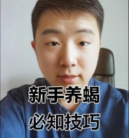 养蝎子的秘诀大揭秘！（如何养好蝎子，让它们健康快乐生活？）