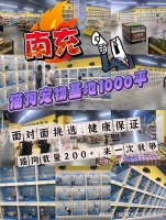 南充买宠物猫狗哪里便宜?这里实体店选购宠物，安全更值得信赖