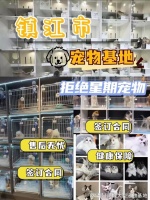 镇江哪个猫狗舍比较有名口碑比较好?这买宠物放心能去实体店挑选