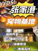 张家港购买宠物猫狗的正规平台?这里安全可靠能挑选心仪的宠物哦