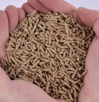 兔粮十大品牌实测！10元到100元怎么选不踩雷，养兔人必看！