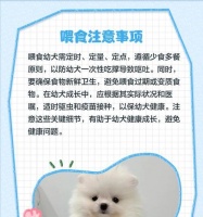 幼犬健康食谱，宠物享受无忧生活（为你的小狗提供营养均衡的饮食，从小健康成长）