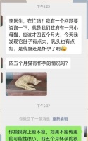 猫的怀孕周期与显肚时间（了解猫咪怀孕的过程以及显肚的时机）