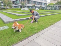 告别“养宠烦恼”！闵行这个小区靠“红色网格”，把治理“老大难”变和谐日常