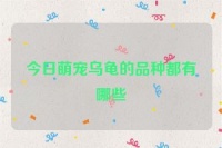 今日萌宠乌龟的品种都有哪些