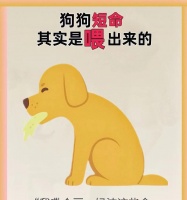 狗狗饮食管理全指南（宠物家长必读，从饮食健康开始）