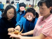 “冷血动物”疗愈特殊群体，宠物经济为奉贤特教生探索就业新方向