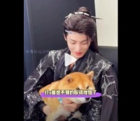 内娱最萌亲缘链！侯明昊的狗是胡彦斌的狗生的崽