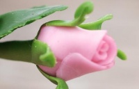 仓鼠运奶酪,探索宠物智能