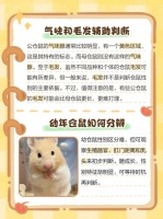 仓鼠单只养还是一对养