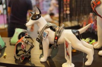 宠物新零售品牌“小猫来了”获数百万元天使轮融资