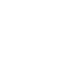 宠物用品猫咪狗粮猫粮电商首页