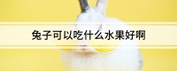 兔子可以吃什么水果好啊