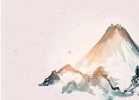 属兔的人养什么宠物最好,属兔的适合养什么宠物招财