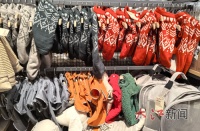 宠物如何温暖过冬？