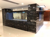 常见的鱼缸分类