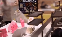 海底捞为狗庆生唱生日歌，宠物友好门店试水，网友热议创新服务