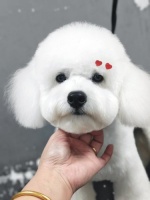 从邪恶摇粒绒到香香软软小面包...！！