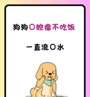 一览狗狗们心心念念的15种人气食材，不要错过这个超级诱人的狗狗盛宴！宠物屋