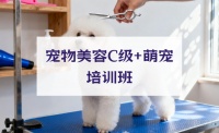 武汉宠物美容C级+萌宠培训班