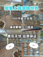 上海哪个猫狗舍比较有名口碑比较好?这买宠物放心能去实体店挑选