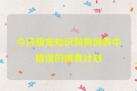 今日萌宠知识狗狗饲养中错误的喂食计划