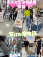 南京最大的宠物市场在哪里？这里有你想要的还能亲自挑选宠物哦