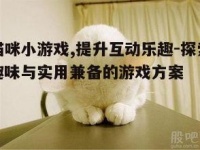 猫咪小游戏,提升互动乐趣