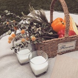 (･̆⍛･̆)分享我家的猪皮皮