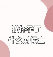 猫咪怀孕后涨奶的时间和表现（猫咪涨奶的周期、主要原因和应对措施）宠物屋