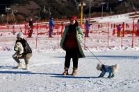 北京平谷第十七届冰雪季开幕 全国首家宠物冰雪乐园亮相